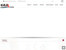 Tablet Screenshot of gulmobilyabornova.com